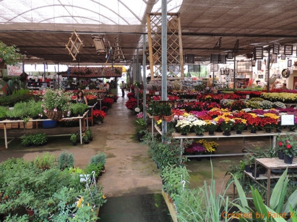 Morumbi Garden